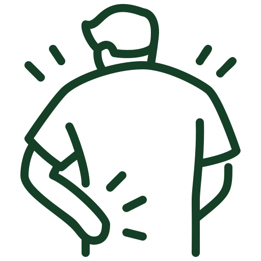 Alt Image